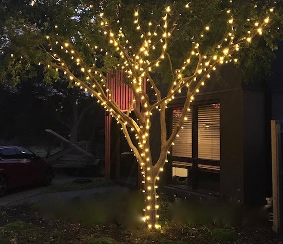 TREE LIGHTING PROJECTS